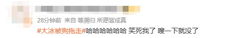 ֱʱ  Ц綯Ƭ