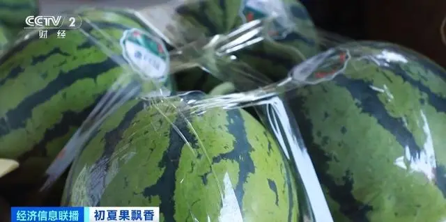 昆明榴莲一斤跌破10元 河南西瓜最低每斤2.7元
